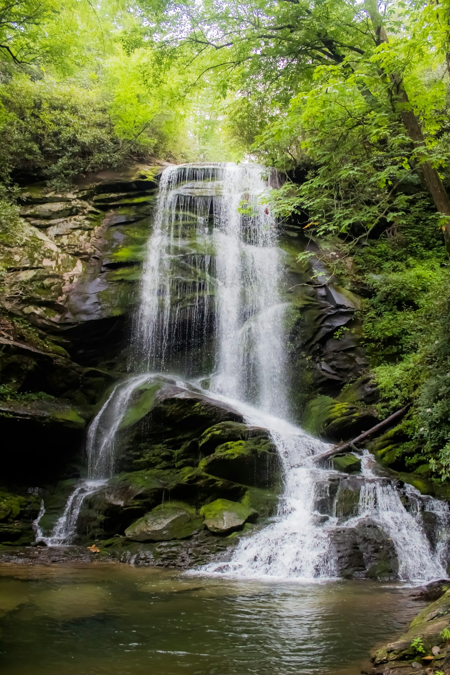 Curiosidades sobre o Parque Nacional da Serra do Divisor
